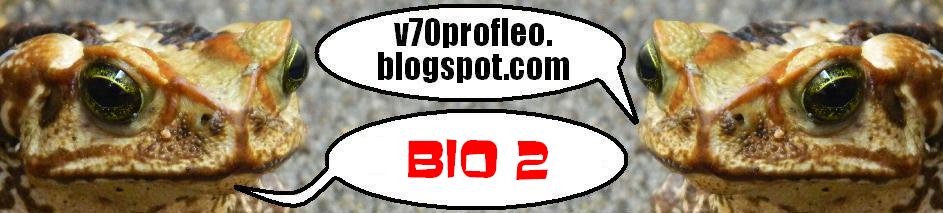 v70profleo-bio2.blogspot.com