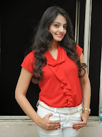 Nikitha Narayan photos at Ladies and Gentlemen Logo launch-cover-photo