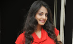 Nikitha Narayan photos at Ladies and Gentlemen Logo launch-thumbnail
