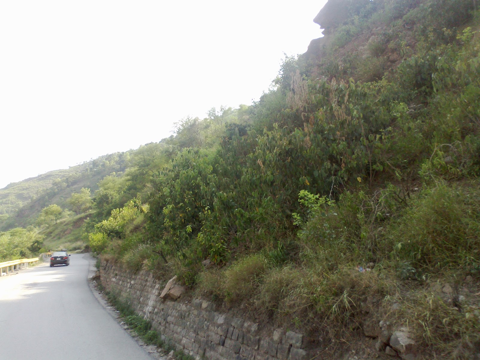 http://4.bp.blogspot.com/-b5xoKM6aBB4/T_2cYr9EgOI/AAAAAAAAGLM/FpW3tTsgGRI/s1600/08072012357.jpg