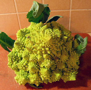 Head of Romanesco Cauliflower