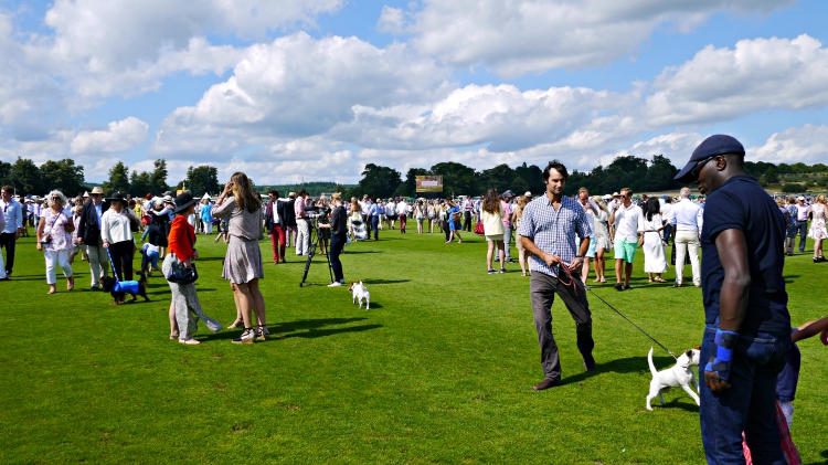 Cowdray Polo Gold Cup