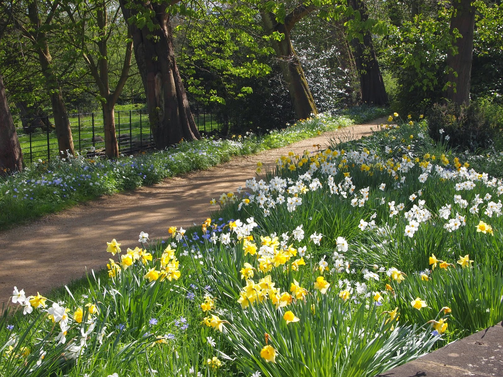 Muddy Musings Magdalen College, Oxford Addison's Walk