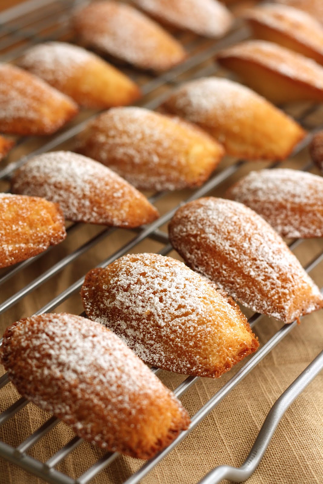 Brown Butter & Honey Madeleines hummingbird high a desserts and