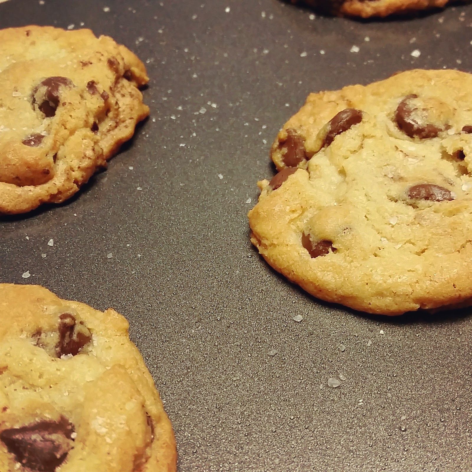COZY CHIC MOMMY CHEWY GOOEY CHOCOLATE CHIP COOKIES