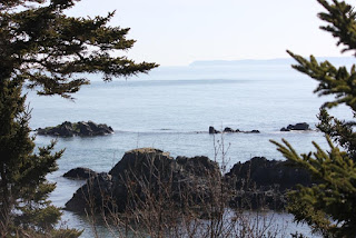 View from West Quoddy trail
