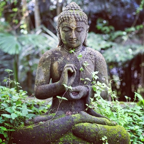 Imagenes Zen Buda | one zen advice to any problem the miracle forest the Imagenes Zen Buda | one zen advice to any problem the miracle forest the