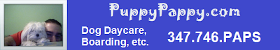 dog daycare Upper East Side