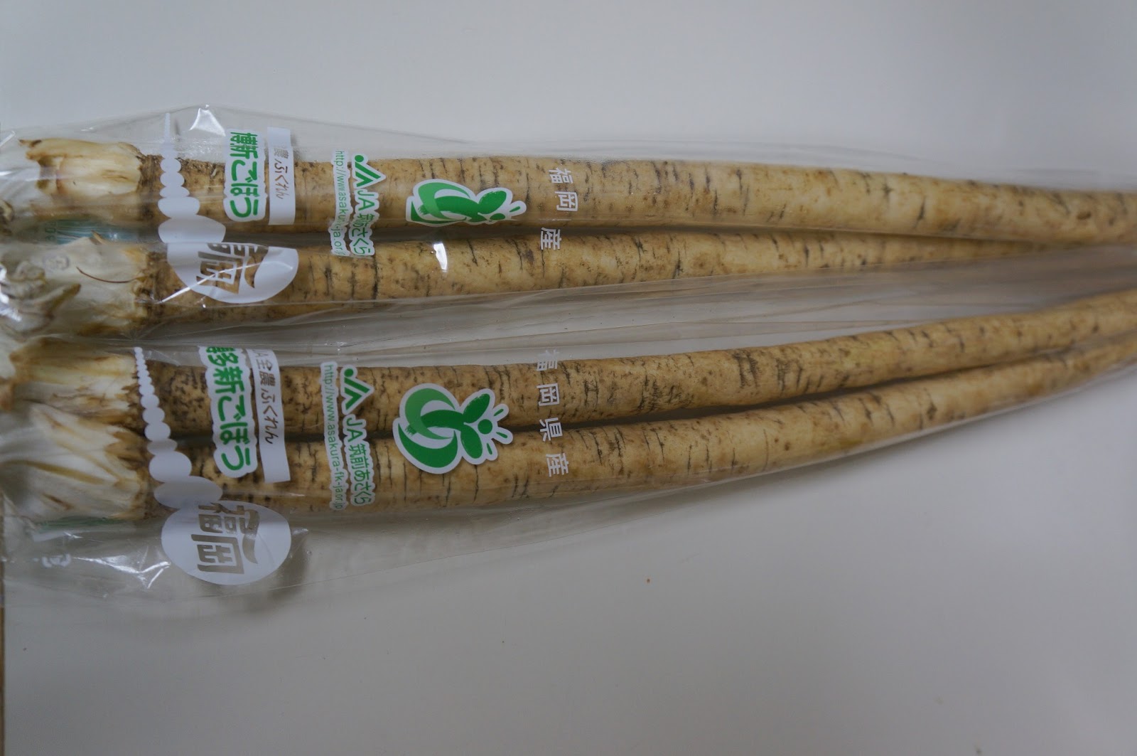 Yokosuka Food Corner Blue Street and Beyond Tempura fried gobo root