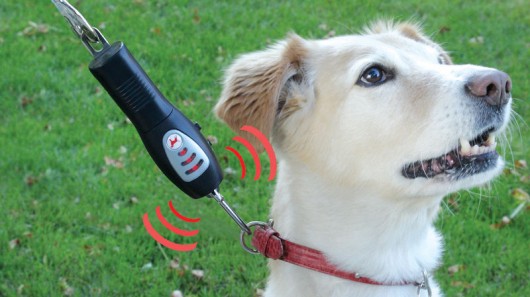 best leash for puppy best pet gadget stuff tug preventing trainer best best leash for puppy best pet gadget stuff tug preventing trainer best