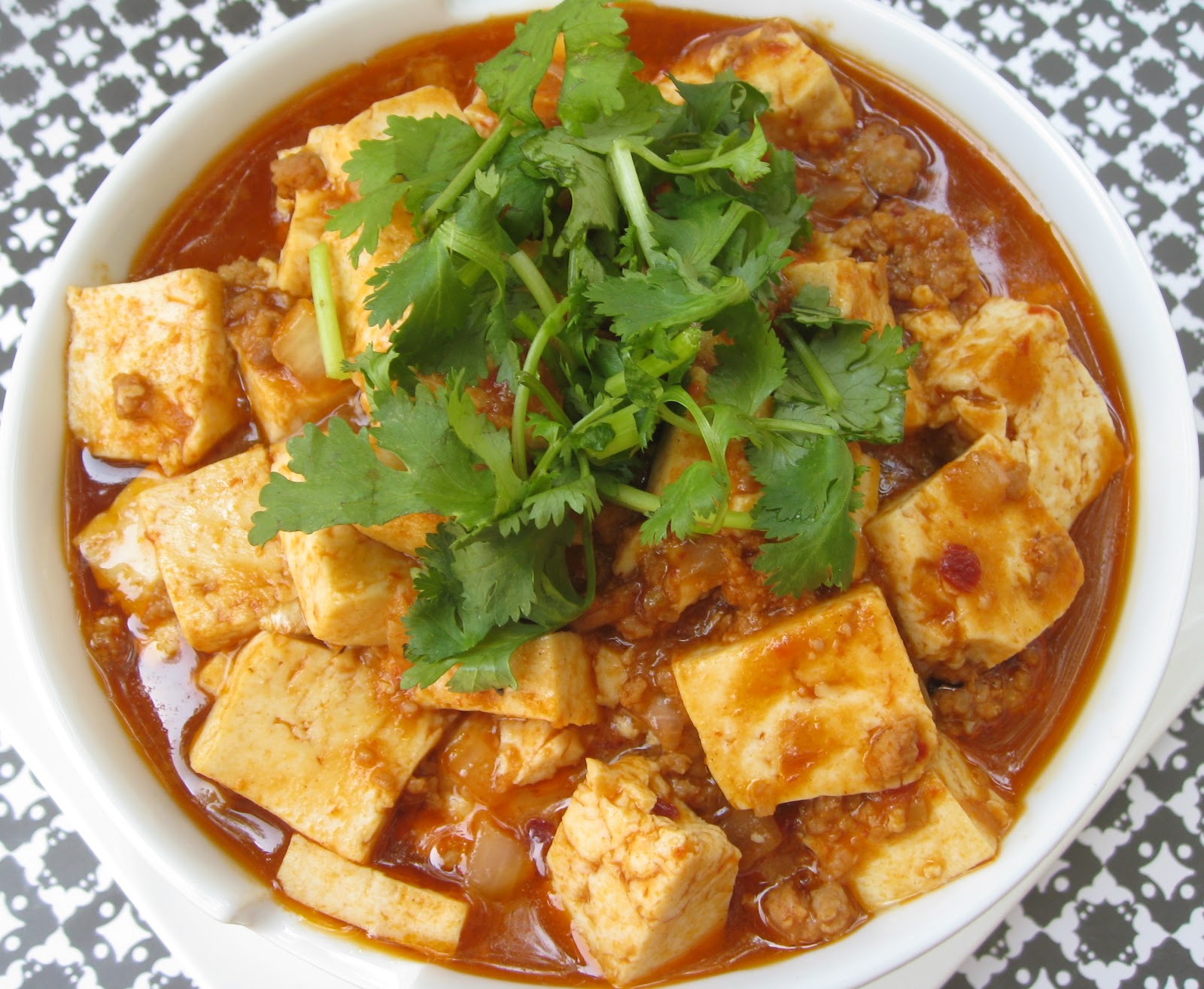 My Asian Kitchen Mopo Tofu (Spicy Bean Curd)
