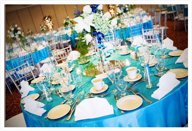 Blue Curtain Wedding Decorations