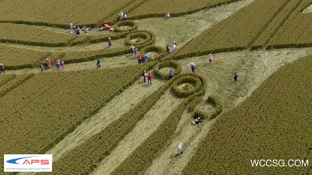 #Misterio en Salta: aparecieron círculos OVNI en campos de trigo#Nuevos Círculos de las Cosechas en 2011 al 2015 - Página 11 20120726+pulpo+5