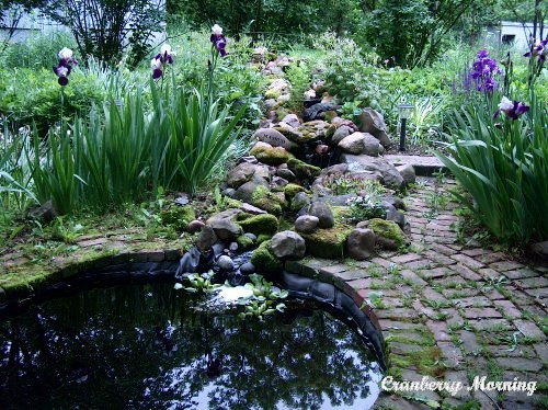 making a pond backyard pond making garden pond cranberry morning making a pond backyard pond making garden pond cranberry morning