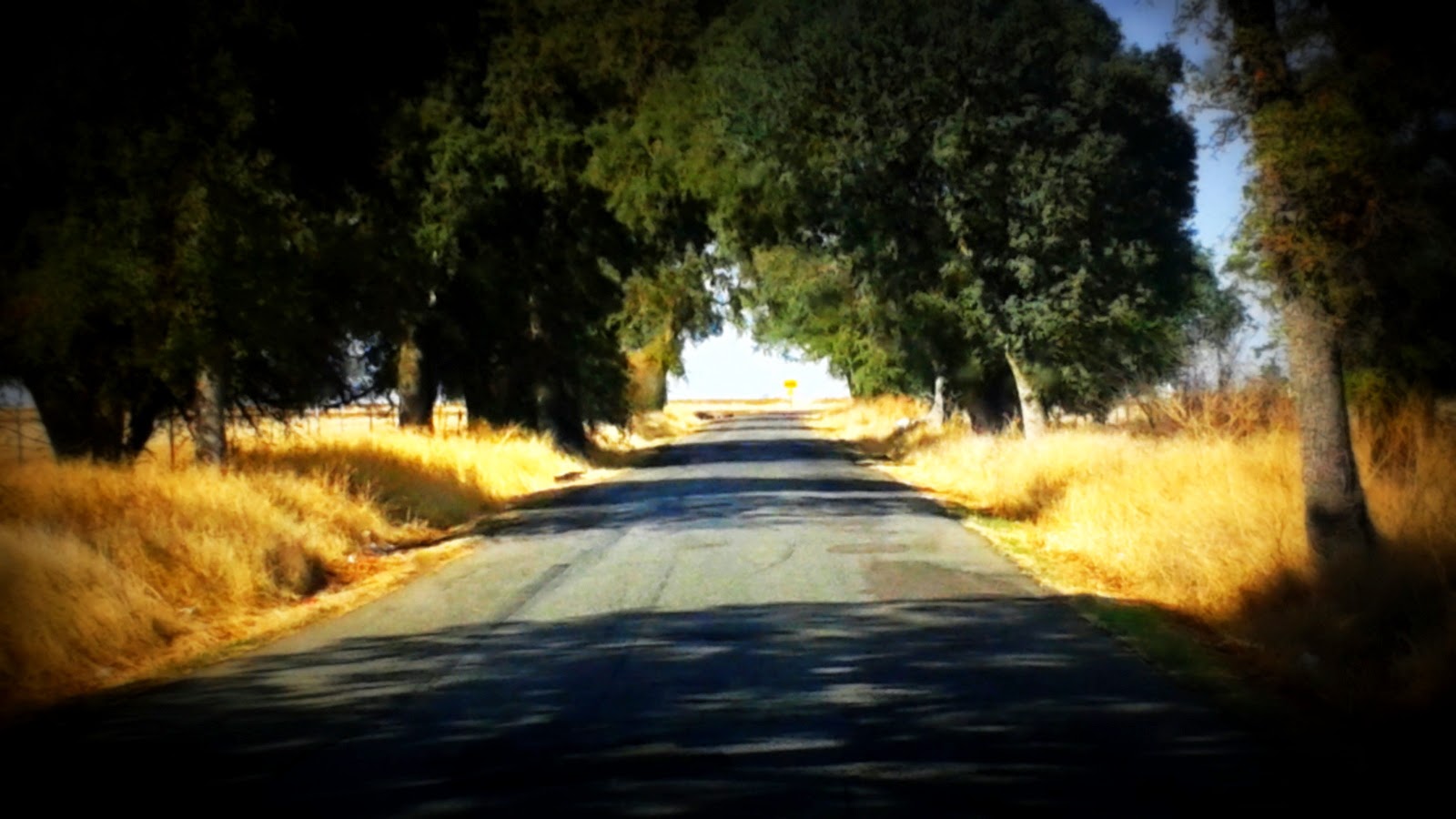 Haunted Humpday The Tragedy's Of Dyer Lane