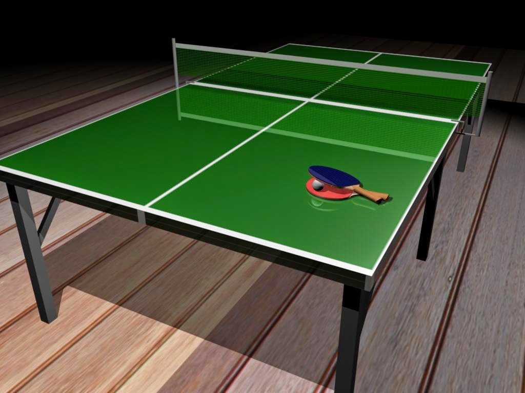 Essay about table tennis game