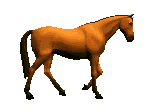 caballo.gif