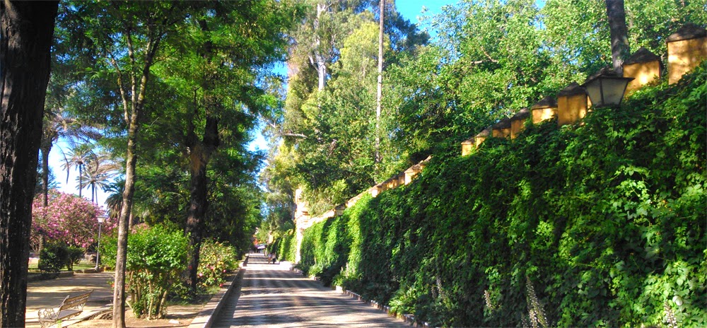 jardines murillo el deseo de volver la ciudad de sevilla bordeando su jardines murillo el deseo de volver la ciudad de sevilla bordeando su