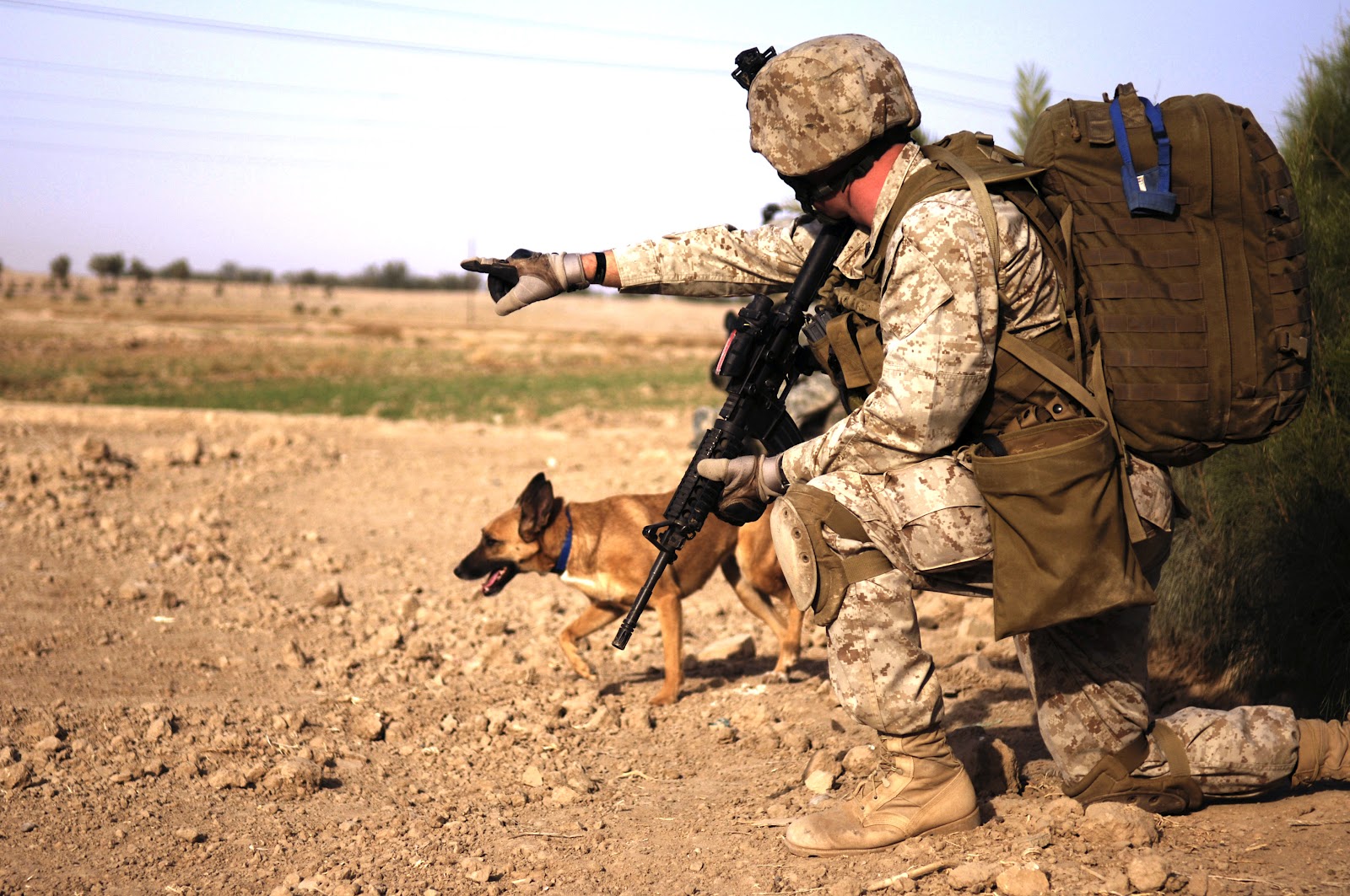 marine dog handler