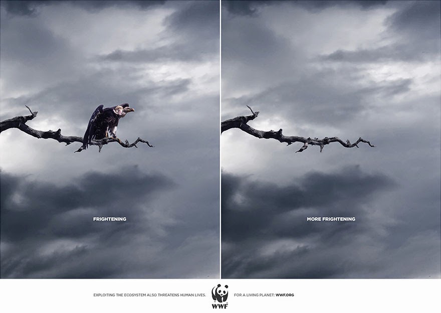 Horrifying vs. More Horrifying - 33 Powerful Animal Ad Campaigns That Tell The Uncomfortable Truth Horrifying vs. More Horrifying - 33 Powerful Animal Ad Campaigns That Tell The Uncomfortable Truth