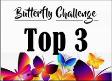 BUTTERFLY CHALLENGE TOP 3
