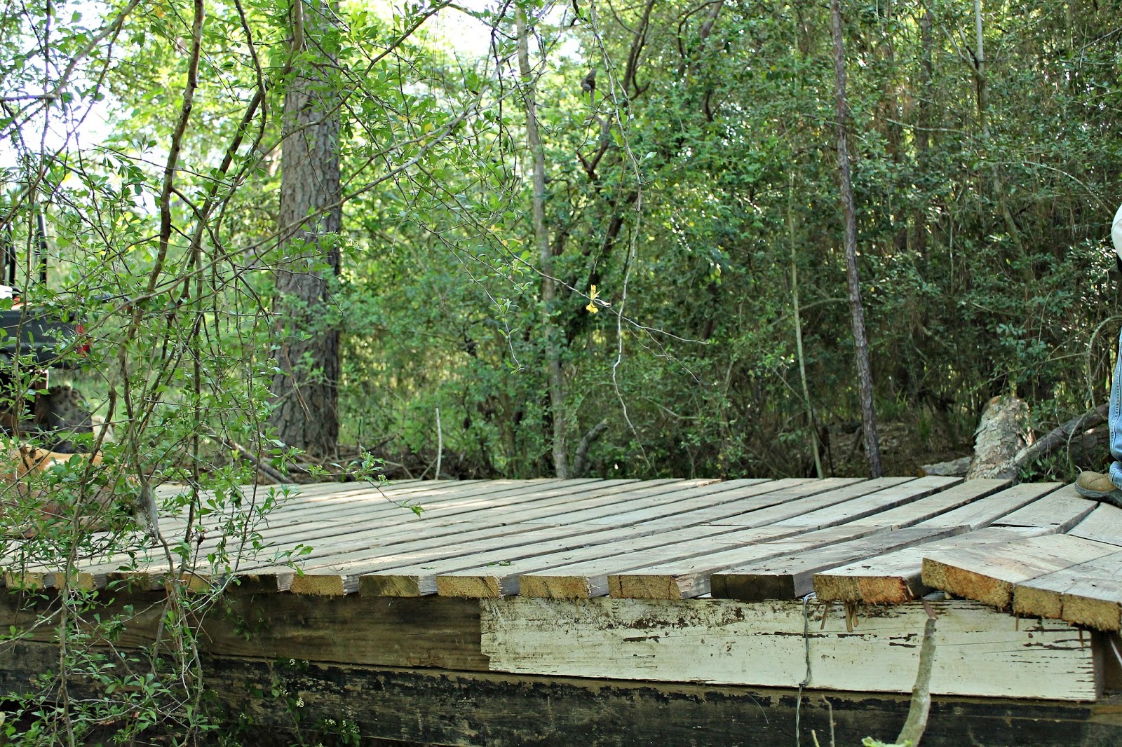 Woodwork teacher, storage building kits plans, how to build a small