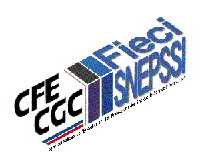 CFE-CGC chez ITS Group