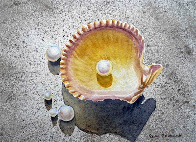 Shell Pearls