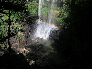 Springbrook national park. Waterfall wonder
