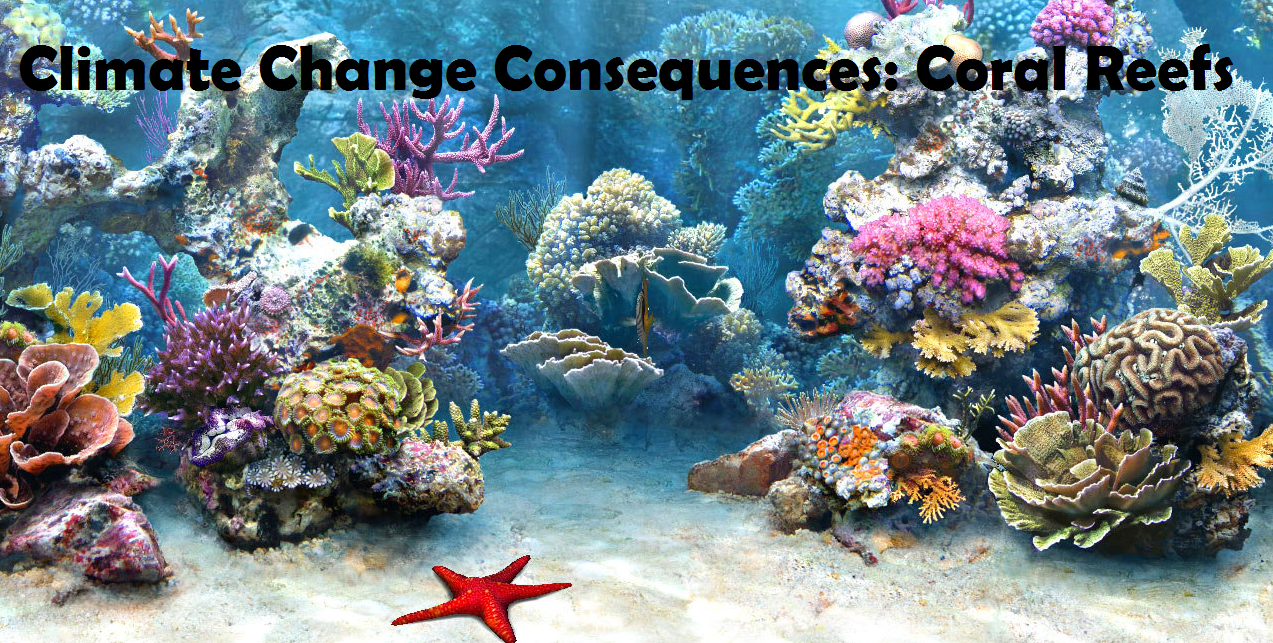 Climate Change Consequences: Coral Reefs