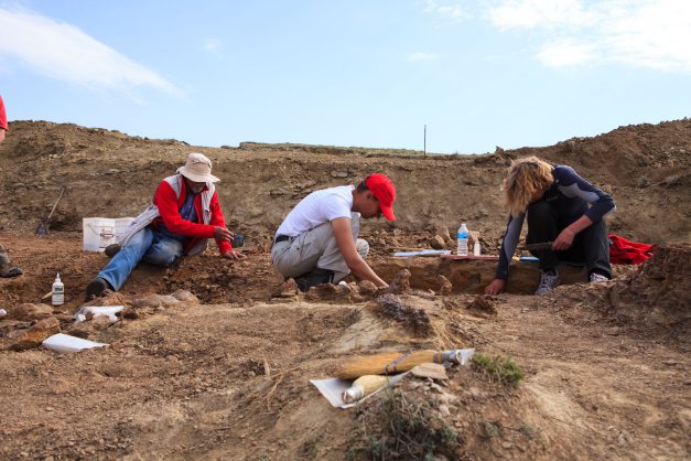More dinosaur fossils found in NE Wyoming mass grave More dinosaur fossils found in NE Wyoming mass grave