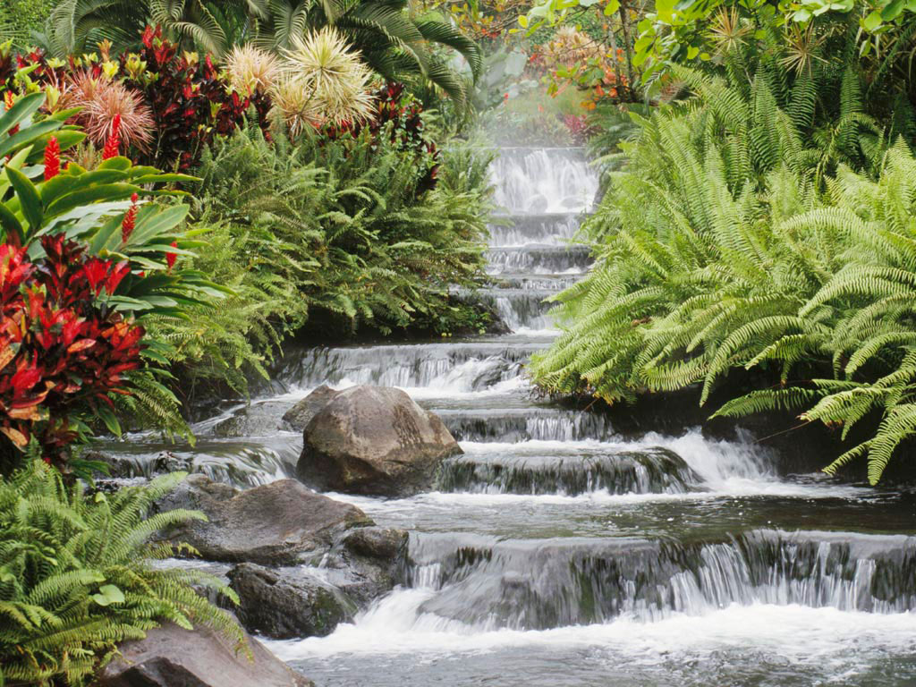 Beautiful Waterfalls With Flowers | beautiful amazing waterfall flowers from japan hd Beautiful Waterfalls With Flowers | beautiful amazing waterfall flowers from japan hd