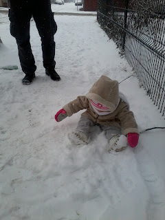 Ellie trying to build a snow ball Ellie trying to build a snow ball