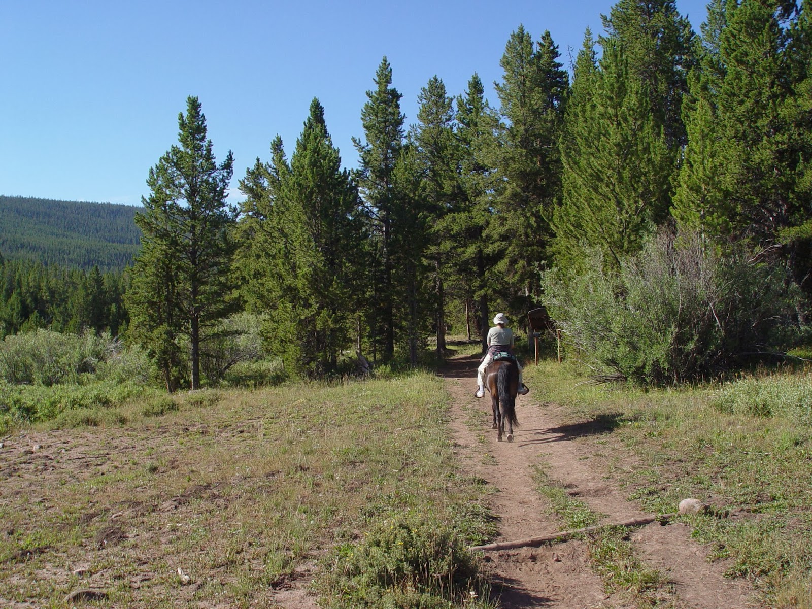 Dream Packer Trail Adventures China Meadows, Uintas, Utah
