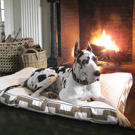 Haute Couture Dog Beds Haute Couture Dog Beds