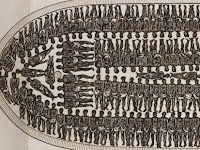 Slave Ship Diagram Slave Ship Diagram