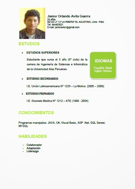 It professional curriculum vitae photo 2