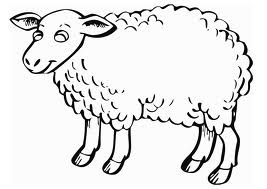 Printable Sheep Coloring Pages