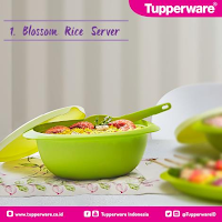 Blossom Rice Server