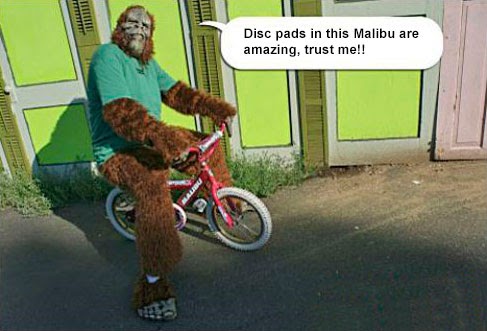 Gorilla riding a bike