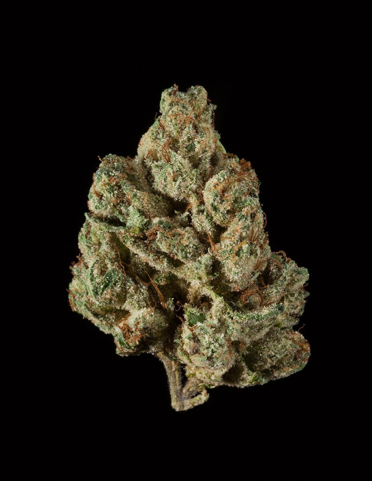 Alpha Walker OG Alpha Walker OG