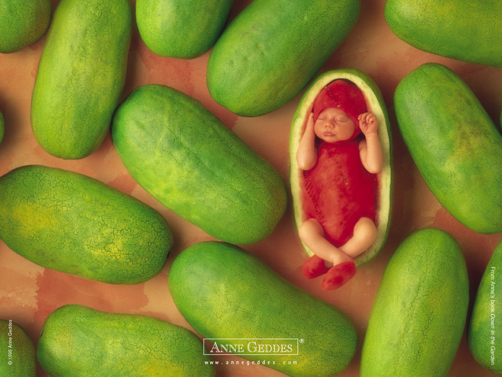 anne geddes pictures