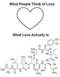 Chemical Structure of Love