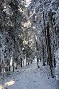 Zimowa panorama