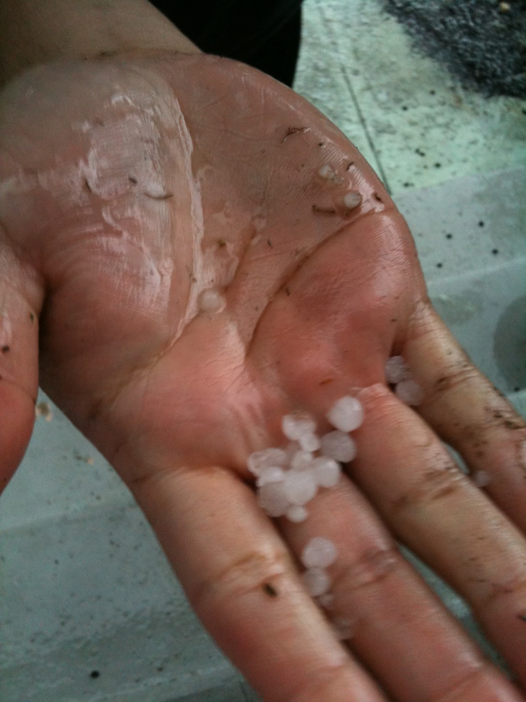 Get Master Bakers Apprentice Bakers Hands Free HD Wallpaper Master Bakers Apprentice Bakers Hands HD