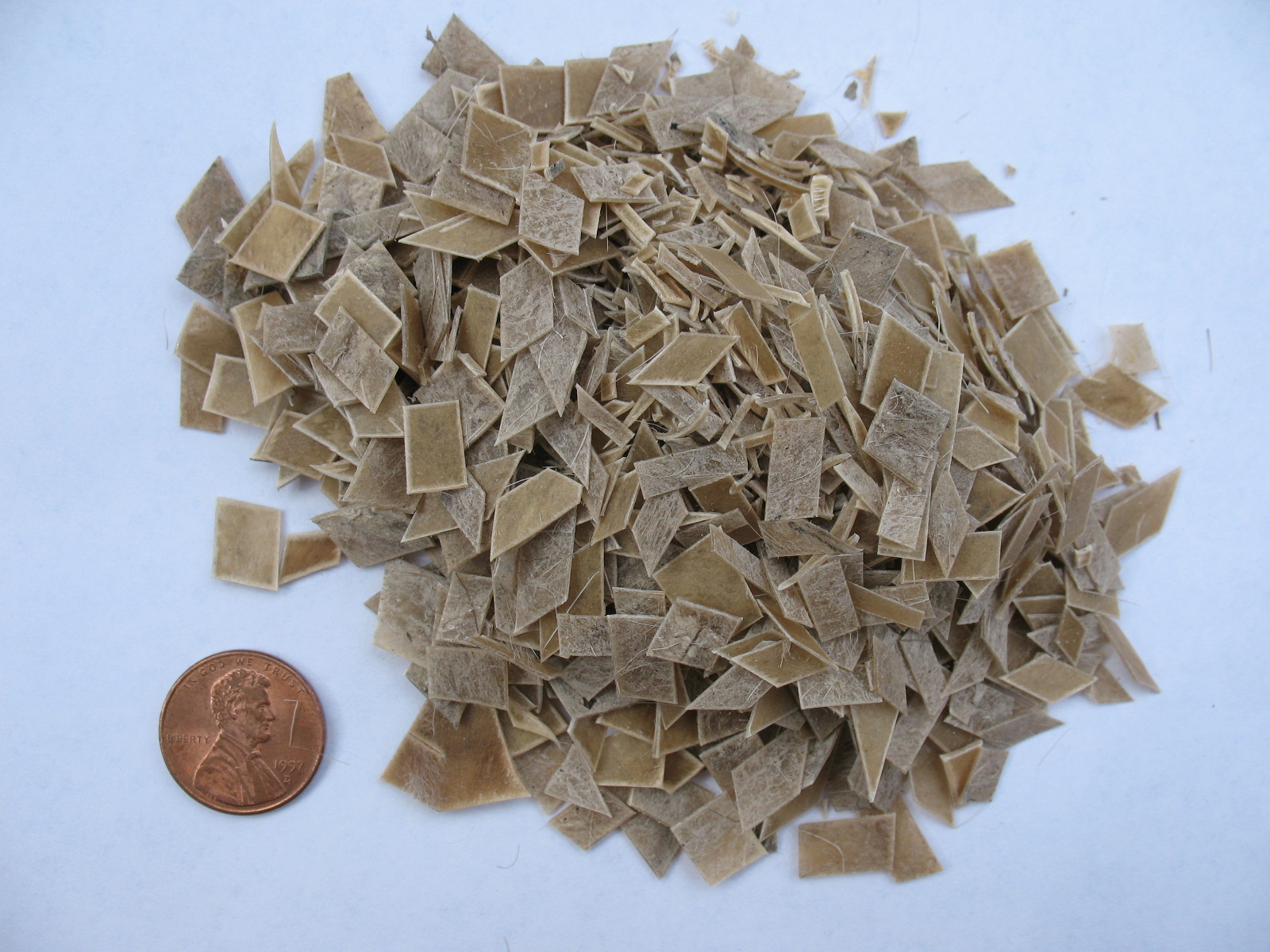 Sensible Survival How to Make Rawhide Glue