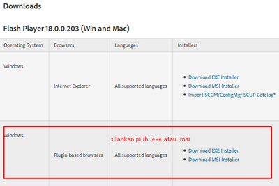 скачать flash player.9