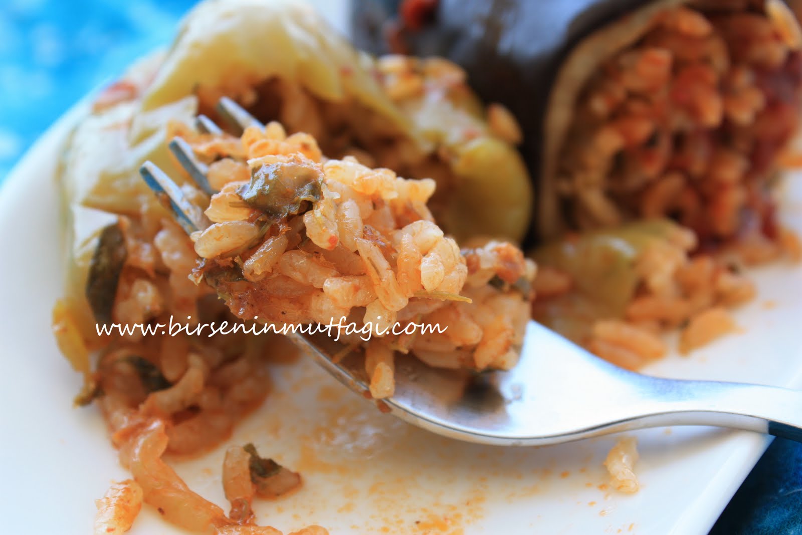  BİRSENCE RESİMLİ YEMEK TARİFLERİ ANNEMİN YEMEKLERİ