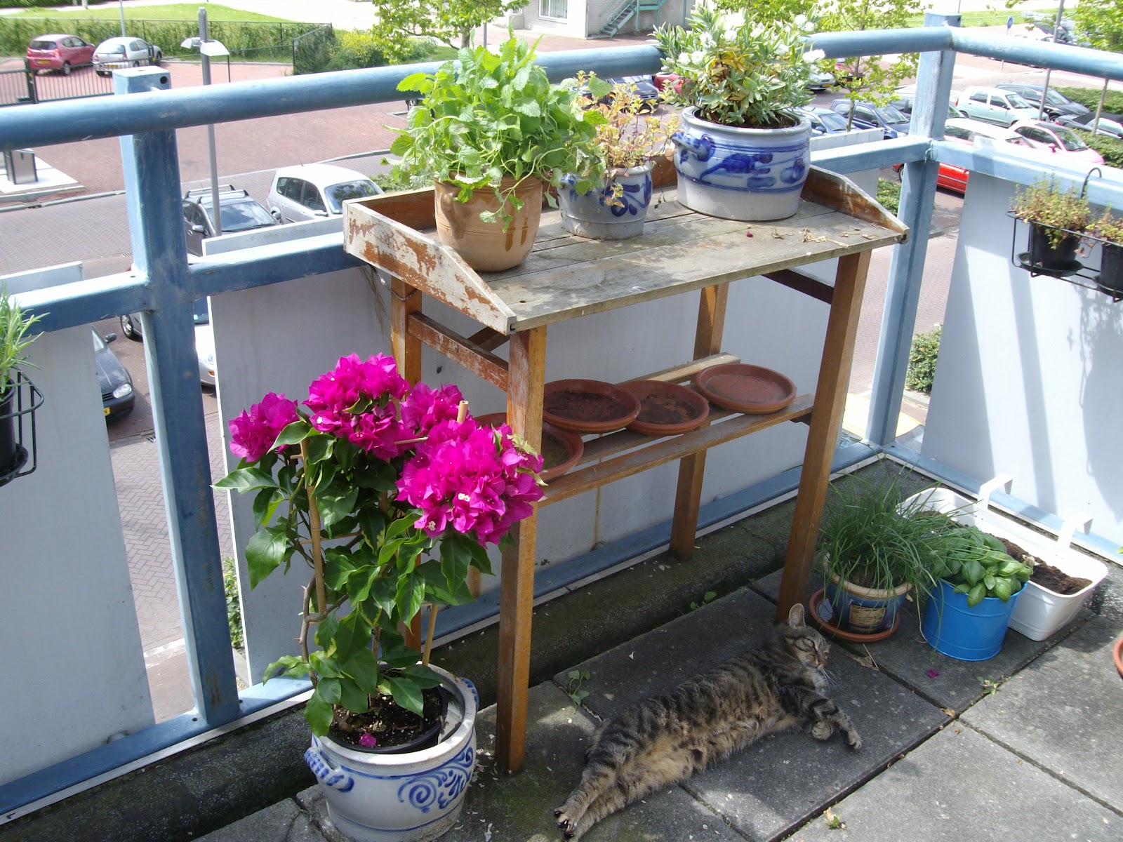 Bettina schrijft: juli 2012