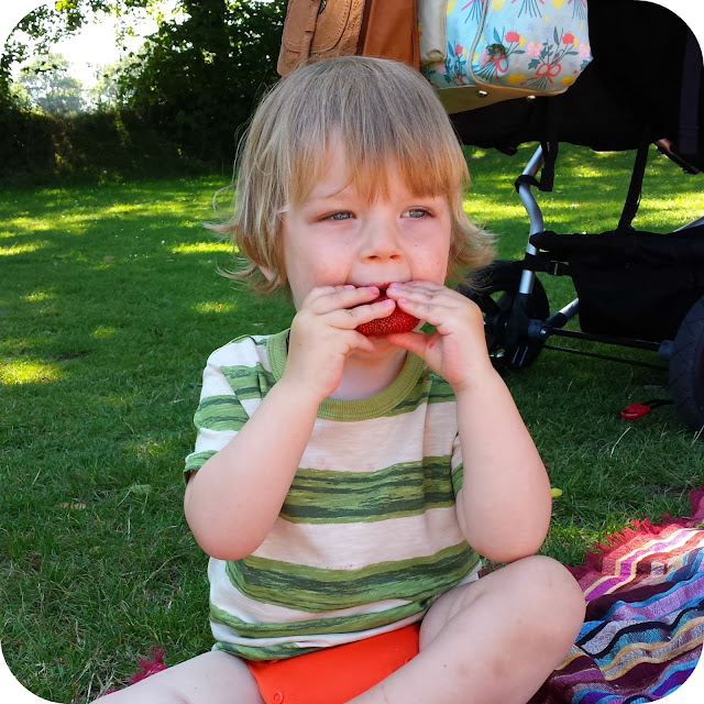 toddler eating strawberries, picnic in the park